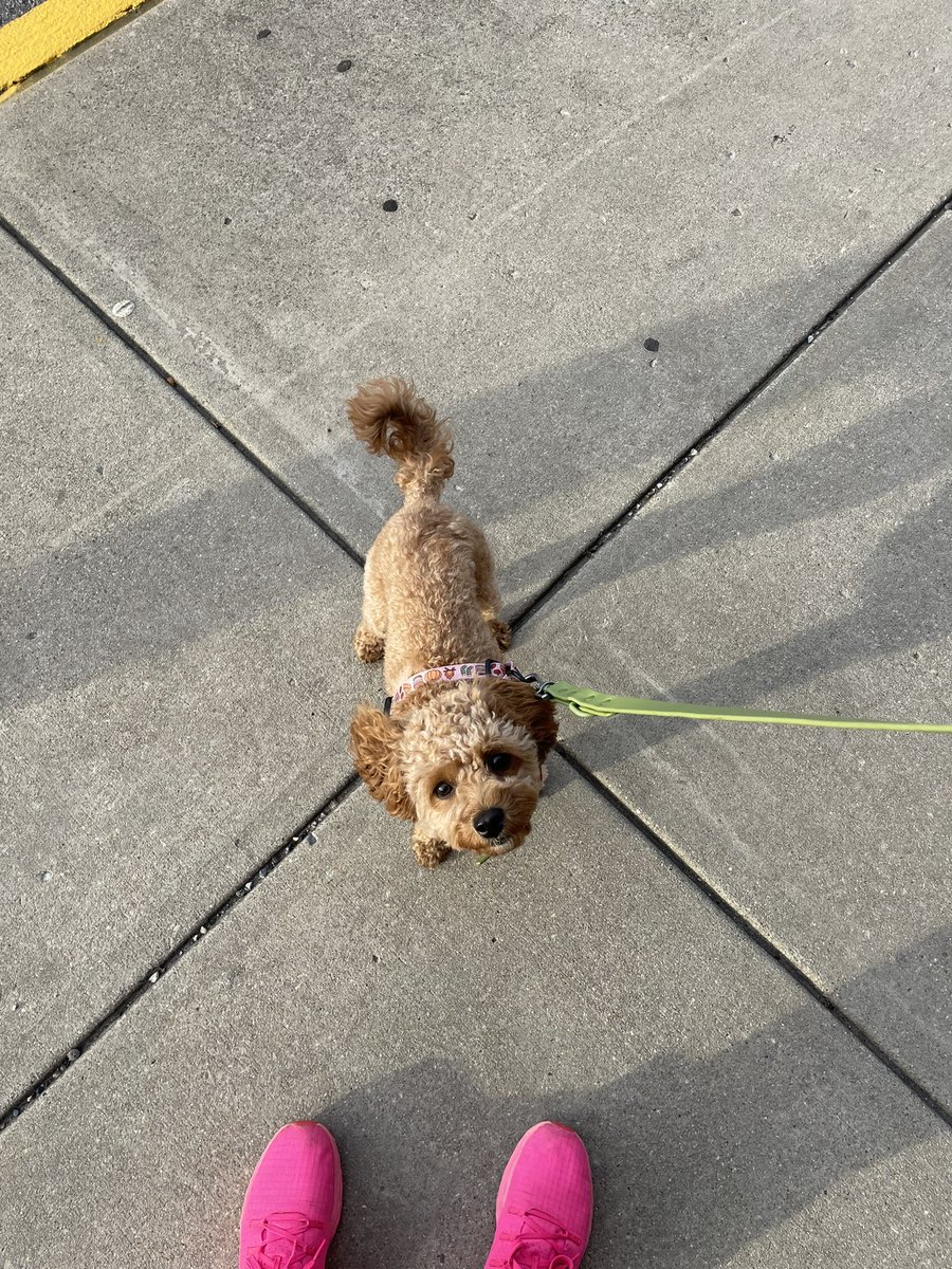 Beverly Hill 🍍 tweet media