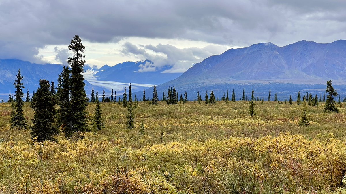 Good afternoon from somewhere between Tok and Anchorage, Alaska. 

#adventure #Alaska #thelastfrontier #whatiloveabouttravel