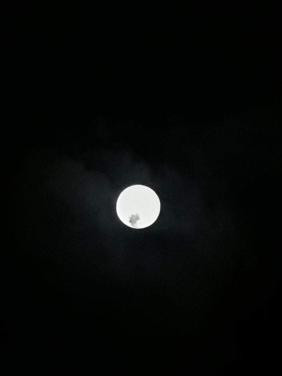 wetpickle264's tweet photo. @kotaidk how’s ur moon orange tho https://t.co/JS8KUhITd1