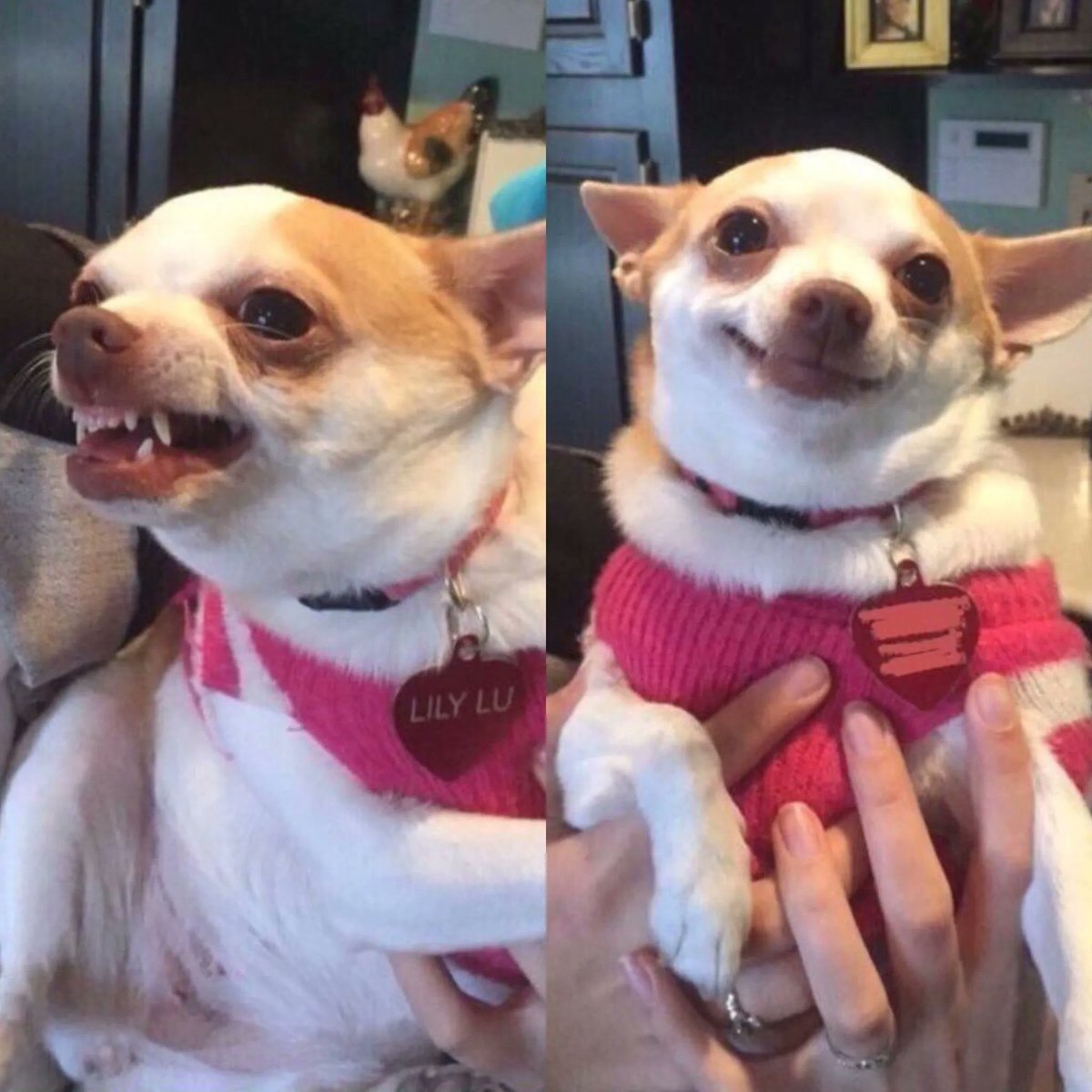 Eu antes de F1 / Eu dps de f1