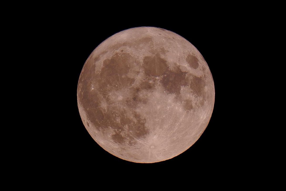 Alyssa Marfil tweet media