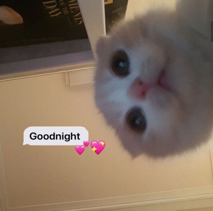 YleyxD's tweet image. 