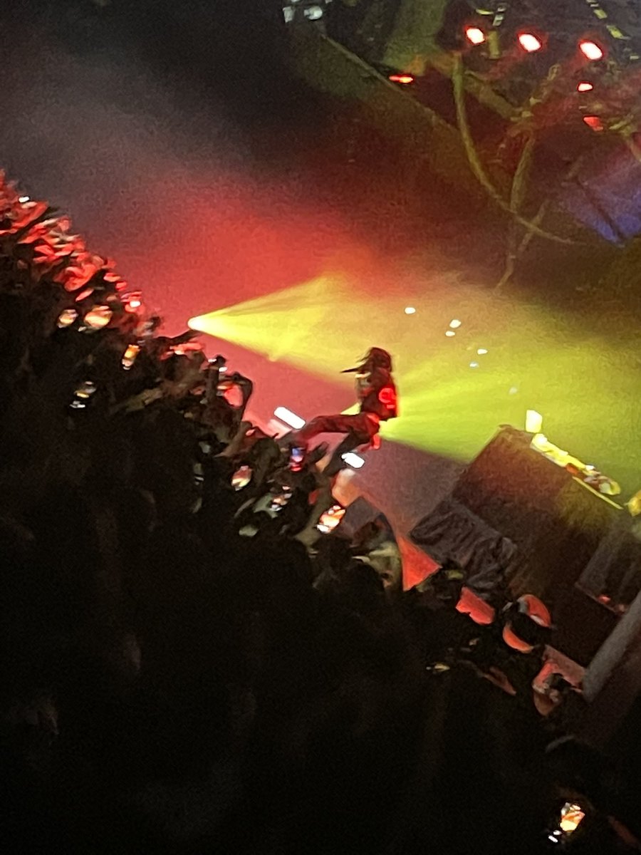 lil homie Dino tweet media