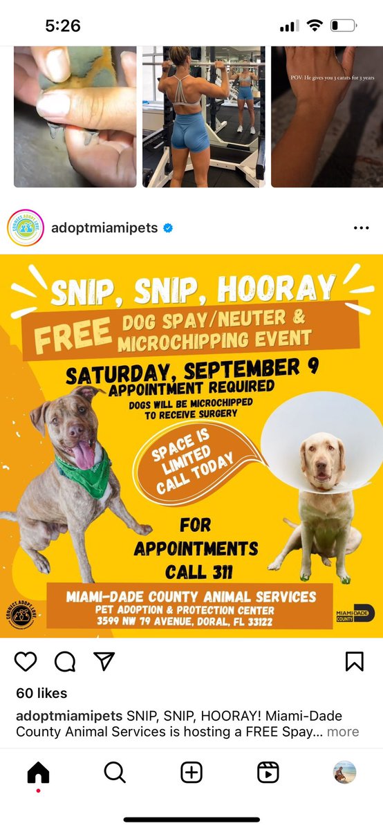 SPAY IT FORWARD…#spayandneuter