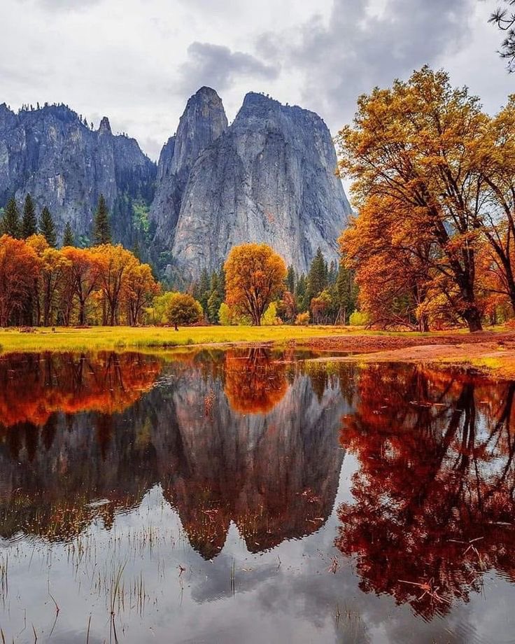 Good Morning Have a Beautiful Day (Yosemite National Park-USA,📷Pinterest)