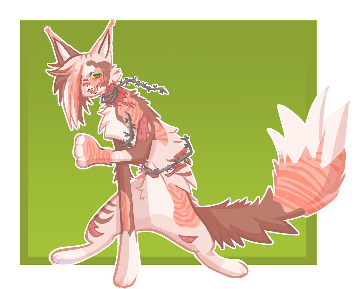 anemersi's tweet photo. do we like warrior cats? warrior cat ocs maybe? https://t.co/tCD5OX5ps4