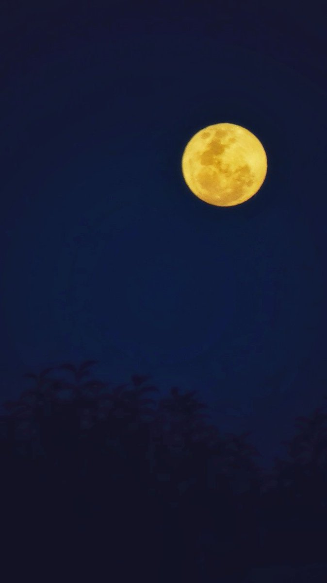 adrianbruno's tweet photo. #SuperLuna https://t.co/KkHa0LMgpT