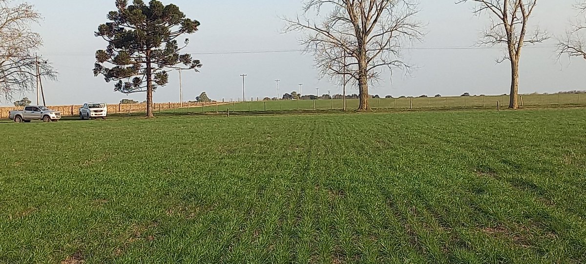 Germinar tweet media