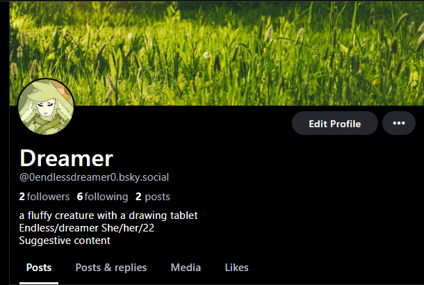 Dreamer tweet media