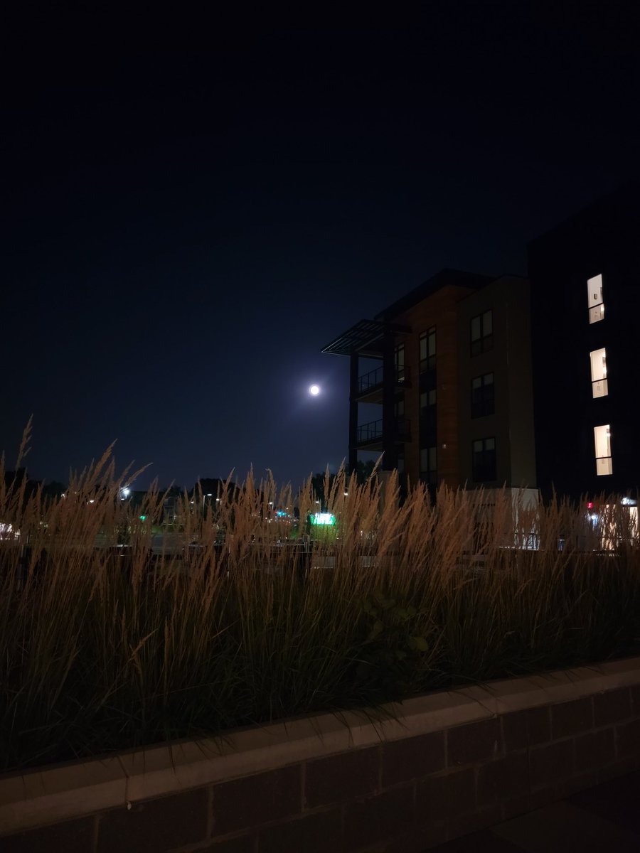 nnh33's tweet photo. Super Blue Moon '23 New Hope MN #newhopemn #Minnesota #SuperBlueMoon #BlueMoon #Samsung #SamsungGalaxy #galaxys21ultra https://t.co/qnAoZsj3cC