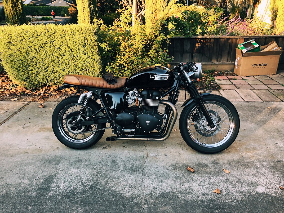 davyr's tweet photo. @rogie @zachmcnair My Bonnie. https://t.co/FmHUizlWzY