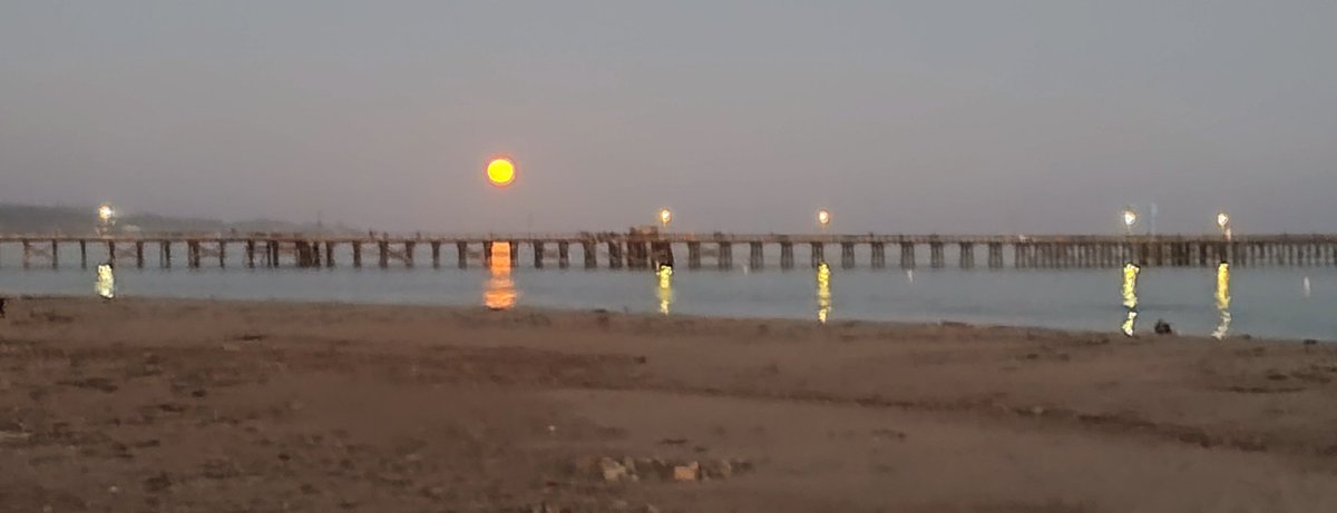 Johnny-kelphead tweet media