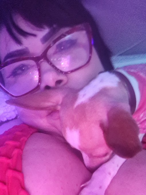 Meu melhor antidepressivo para n&atilde;o surtar de vez...  #PrefiroBichoDoQueGente  #Soraya #SorayaCarioca<a href="/tag/soraya"class="tags"><span>#soraya</span></a><a href="/tag/sorayacarioca"class="tags"><span>#sorayacarioca</span></a><a href="/tag/prefirobichodoquegent"class="tags"><span>#prefirobichodoquegent</span></a>