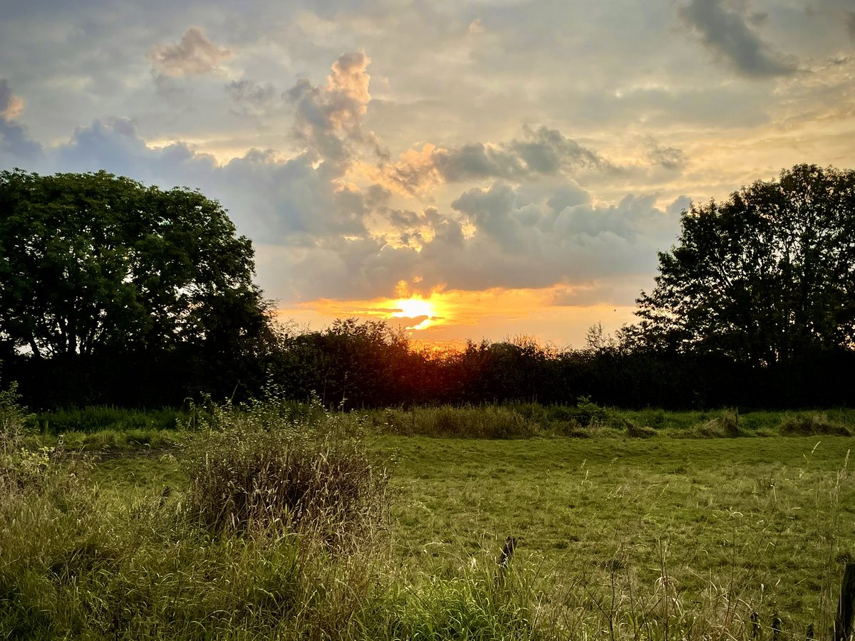Terug hier na een hele tijd. Na jaren bloggen over psychische kwetsbaarheid en hier nu na al die jaren weer volop inzitten, vind ik het tijd hier weer over te delen. #narcistischmisbruik #codependency #depressie #crisisdienst #angststoornis #ggz #lovebombing #gaslighting
