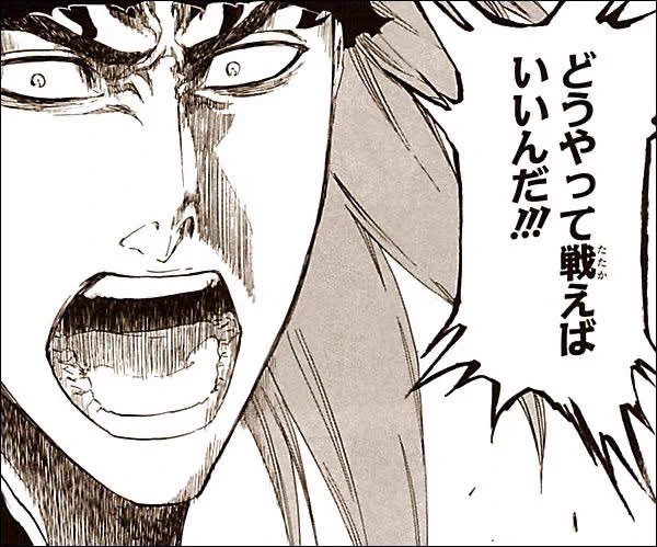 @zenkaiten 卍解どころか、始解すらあやしいレベル 
