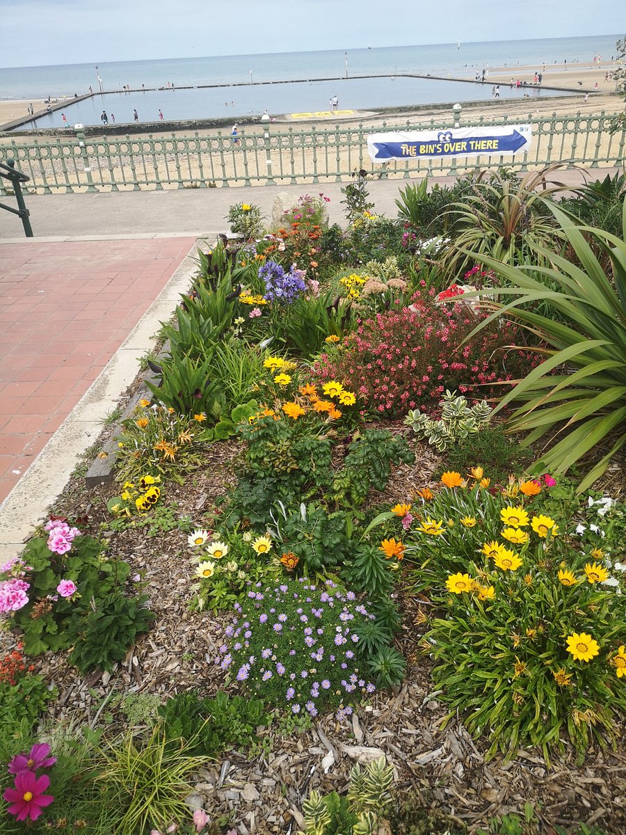 Margate #flowers #colours #tidalpool #empireoflight #meditation #spirit #healing