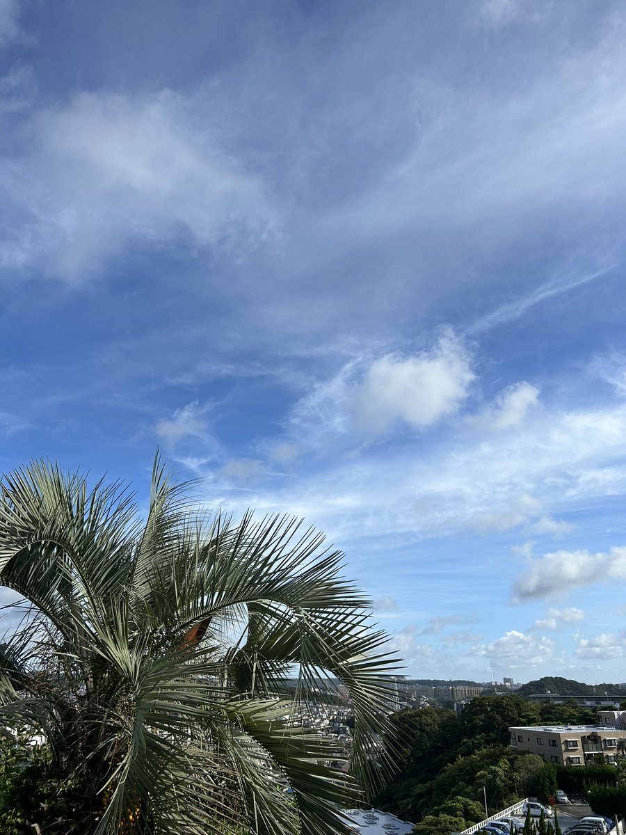 I don't feel the heat yet this morning. I think it will get hot soon. 😅