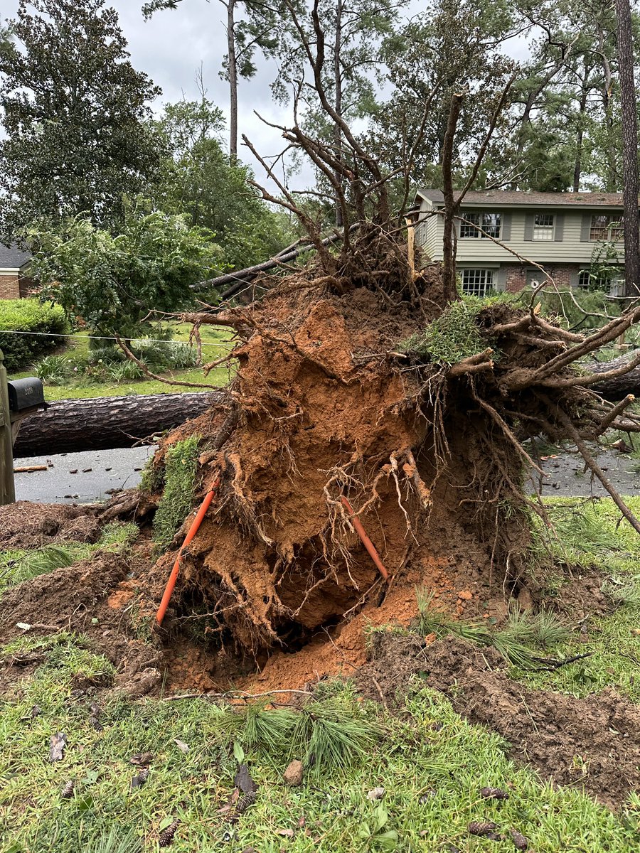 sethwllard89's tweet photo. @WALBNews10 Old Wood Valley neighborhood in Valdosta, GA - Hurricane Idalia Damage https://t.co/JUCVNANeDB