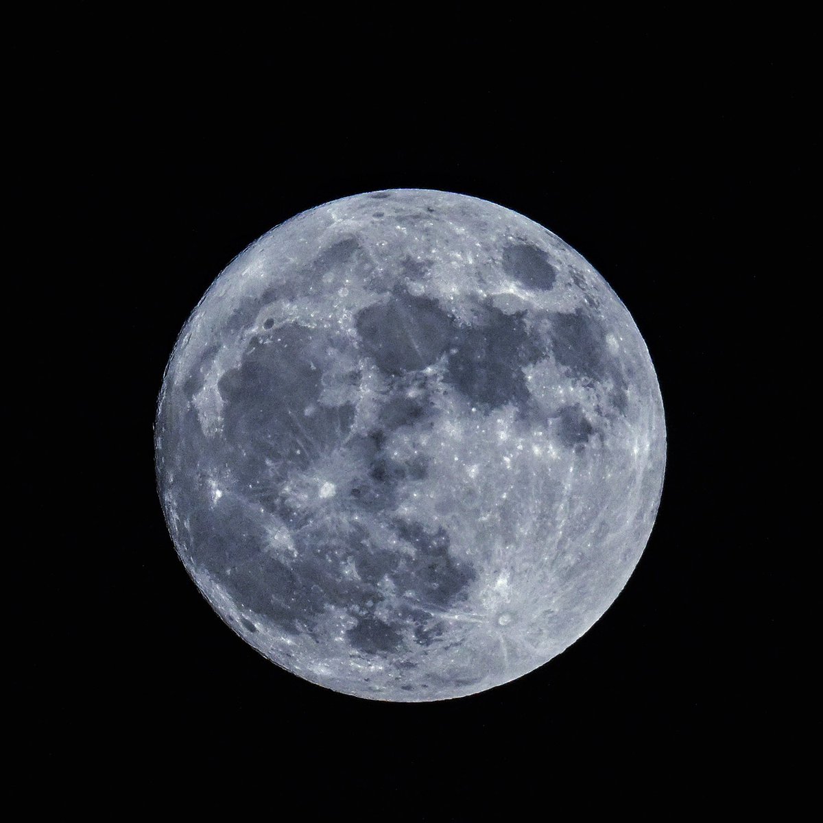 Shooting the super blue moon #superbluemoon #karachi #tapujaveri #nikonz8