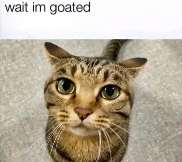 anyways hi guys what’s up! How are you doing