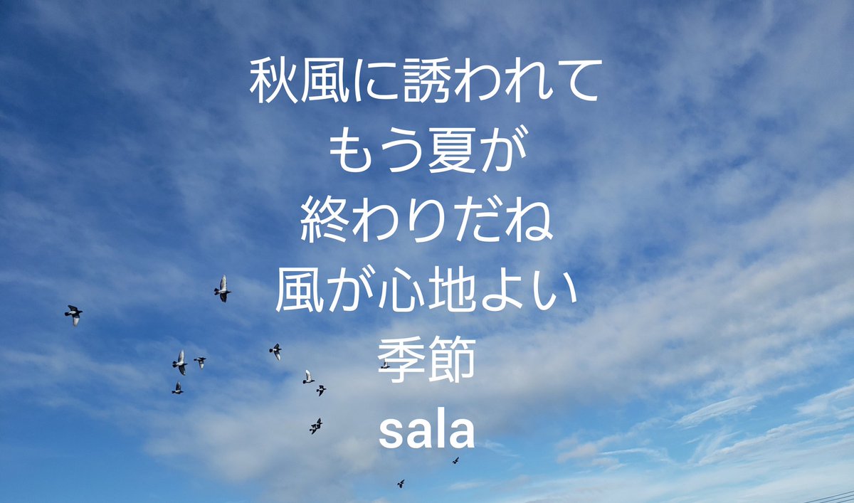 sara_7750's tweet photo. 沙羅ちゃんWorld
秋風
皆さんおはようございます
早いですね
今日も頑張って下さい https://t.co/VpOyj2cnVb