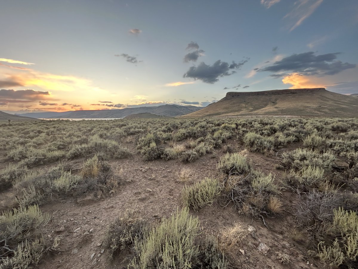 “What act of imagination will it finally require, for us to be able to speak meaningfully with one another about our shared biological fate?” – Barry Lopez, Horizon

nps.gov/cure/learn/cli…

NPS image by Matt Johnson #gunnison #montrose @NationalParkService #ClimateChange