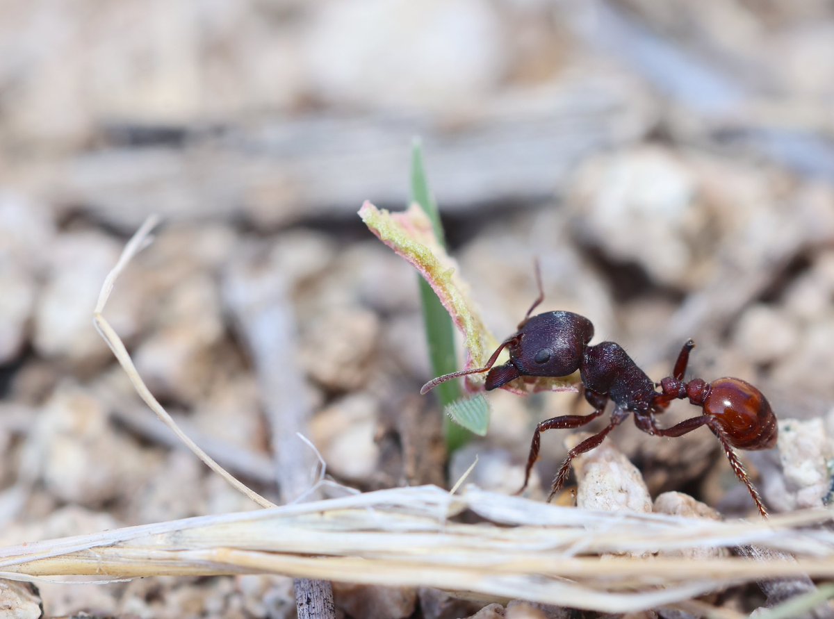 Dr. Joanie King tweet media