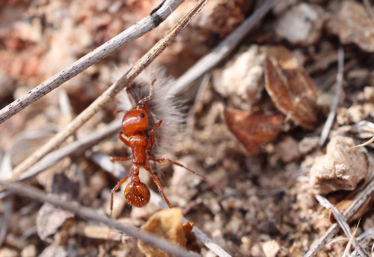 Dr. Joanie King tweet media