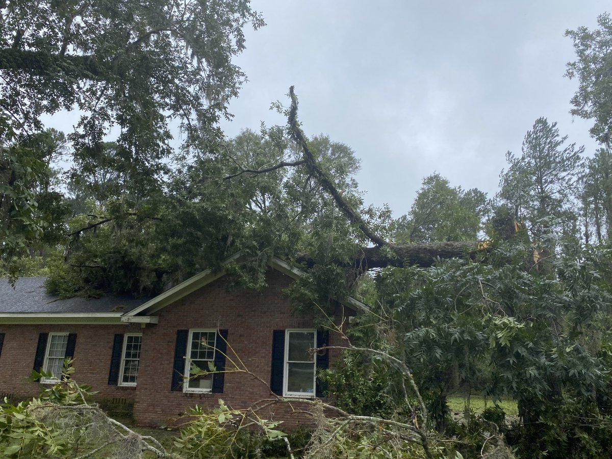 Georgia DNR Wildlife tweet media