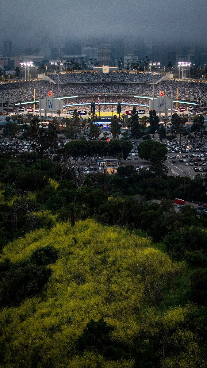 Dodgers's tweet photo. Aerial shots of Dodger Stadium. 😍 

#WallpaperWednesday presented by Local 300. https://t.co/MVAn3e3Hdz