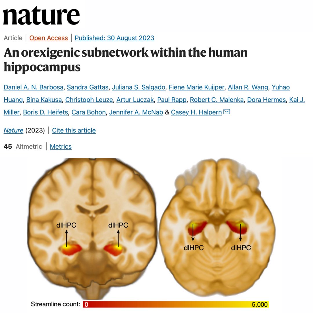 Casey H. Halpern (@halpernc) on Twitter photo Our latest paper in <a href="/Nature/">nature</a> explores a network connecting the lateral hypothalamus with the dorsolateral hippocampus that specifically responds to anticipation of sweet-fat food cues. This network exhibits dysregulation in obesity.
<a href="/PennNSG/">Penn Neurosurgery</a> <a href="/PennMedicine/">Penn Medicine</a> Our latest paper in <a href="/Nature/">nature</a> explores a network connecting the lateral hypothalamus with the dorsolateral hippocampus that specifically responds to anticipation of sweet-fat food cues. This network exhibits dysregulation in obesity.
<a href="/PennNSG/">Penn Neurosurgery</a> <a href="/PennMedicine/">Penn Medicine</a>