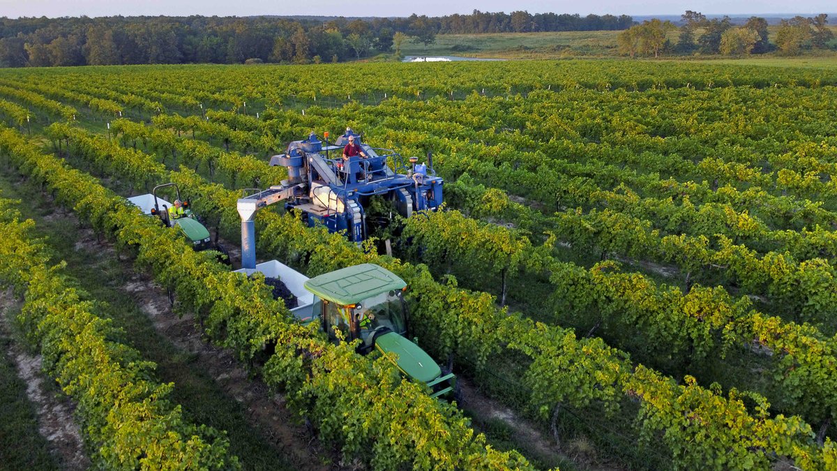 St. James Winery tweet media