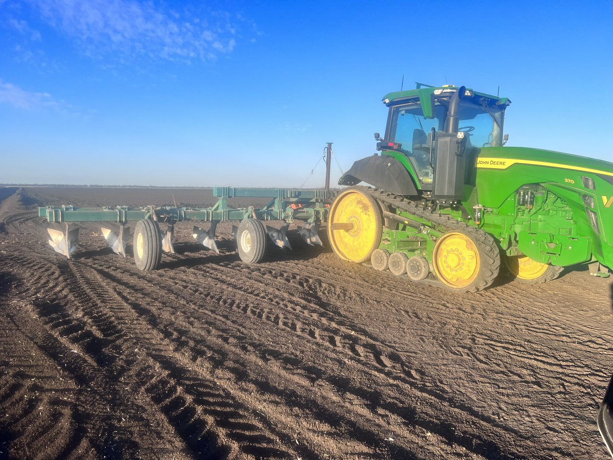 Bernie Jackson tweet media