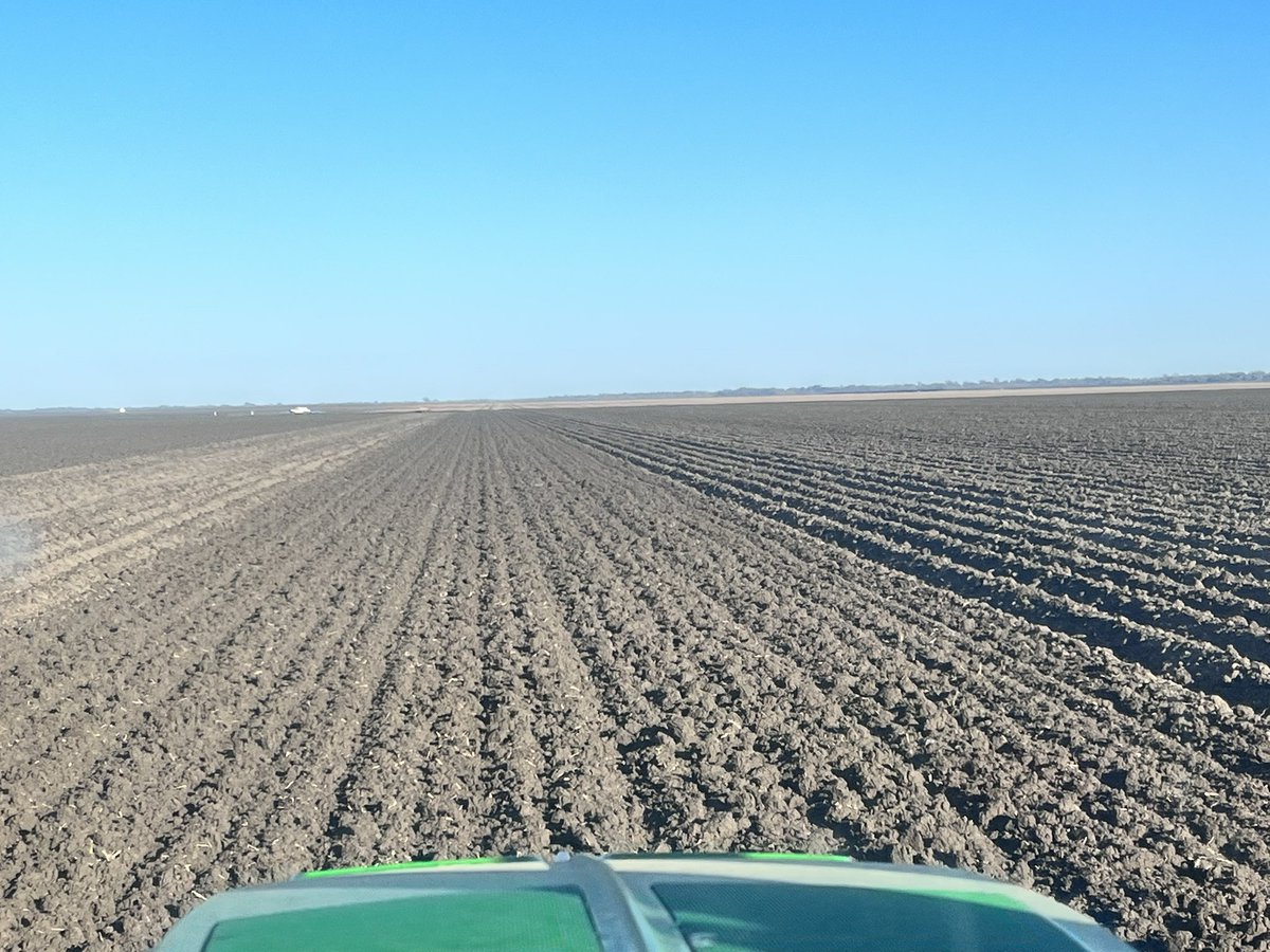 Bernie Jackson tweet media