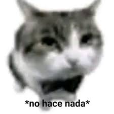 celusio76727's tweet photo. Hola seres humanos, bueno para los que no me conozcan pues me presento, soy kenzy y quizás algunos me conozcan por mi canal que está más muerto que mi abuelo, y ya eso es todo, que tengan una buena noche, https://t.co/CtOtAkhGxl