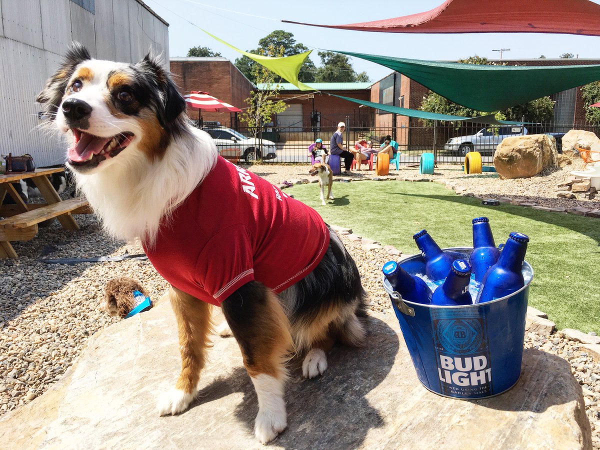 barkbarlr's tweet photo. Have a tail waggin' good time at our Tail-gate Pawty this Sat, Sept 2 after the game!
• Pawty Pails – 5 beers for $20
• Peroni Draft Pitchers – $15
• Jell-O Shots $3
• Buffalo Chicken Dip $9
Dogs dressed in Razorback gear get in free!
21+, Dogs 4 mos+
https://t.co/06s3qX0Nm2 https://t.co/DiSTPFmTNk