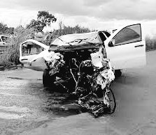 🐉 | Seki tweet media