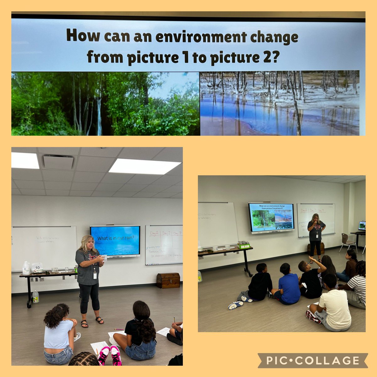 Phenomena teaching in 4th grade!!@schmalzsharks