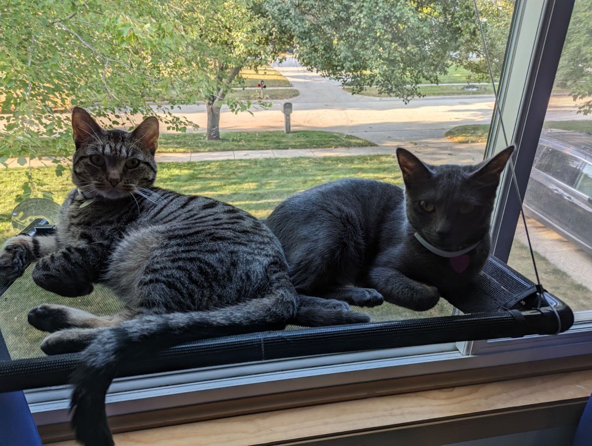 Rocky and Stormy