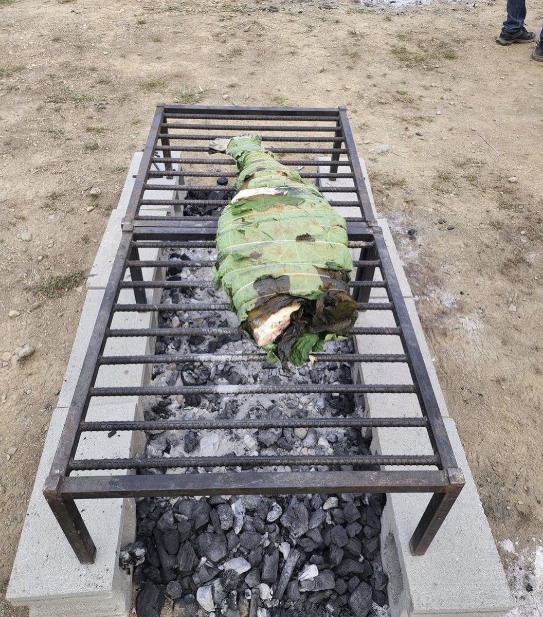 Wild Pacific Halibut tweet media