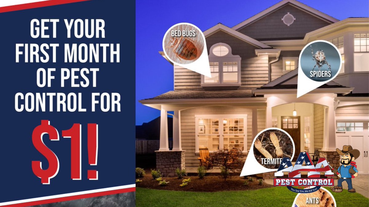 TheRealHugoGutz's tweet photo. Established in 1977, AAA Pest Control is deeply rooted in the Rio Grande Valley. Our $1 first-month offer is just the start! We handle pests of all kinds and offer flexible service plans. Terms apply. Contact us: (956)584-8989 or visit https://t.co/8fNfg9OWFa. https://t.co/rdry607VWH