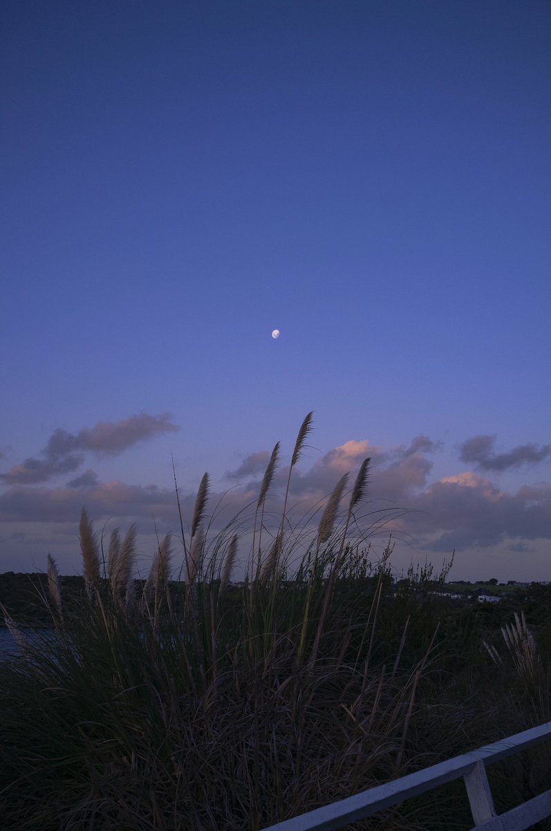 ezraleary's tweet photo. As the world turned under a silent moon https://t.co/OAwkFpSblI