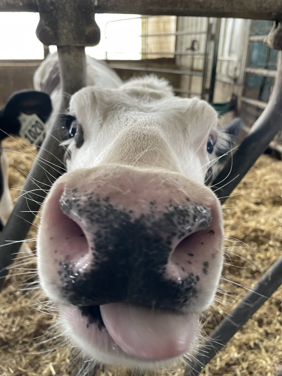 Sarah Starratt tweet media