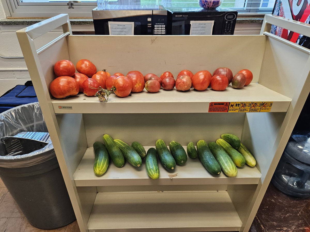 cdwilkins2's tweet image. When your library cart also doubles as a veggie stand! @PViewSPS #spslib #spsfarmtoschool #gardentolibrary