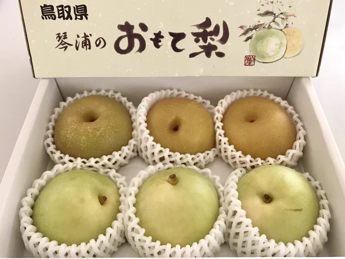鳥取の方に、琴浦のおもて梨セットをいただきました。

二十世紀梨と新甘泉という梨が入っています。

ありがたや、冷やしてシャリシャリ食べさせていただきますね。 柴田亜美

#鳥取 