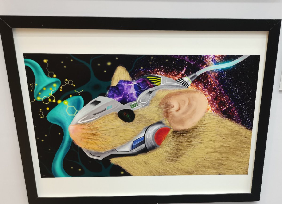 DPastrocyte's tweet image. Future mice of our own design.