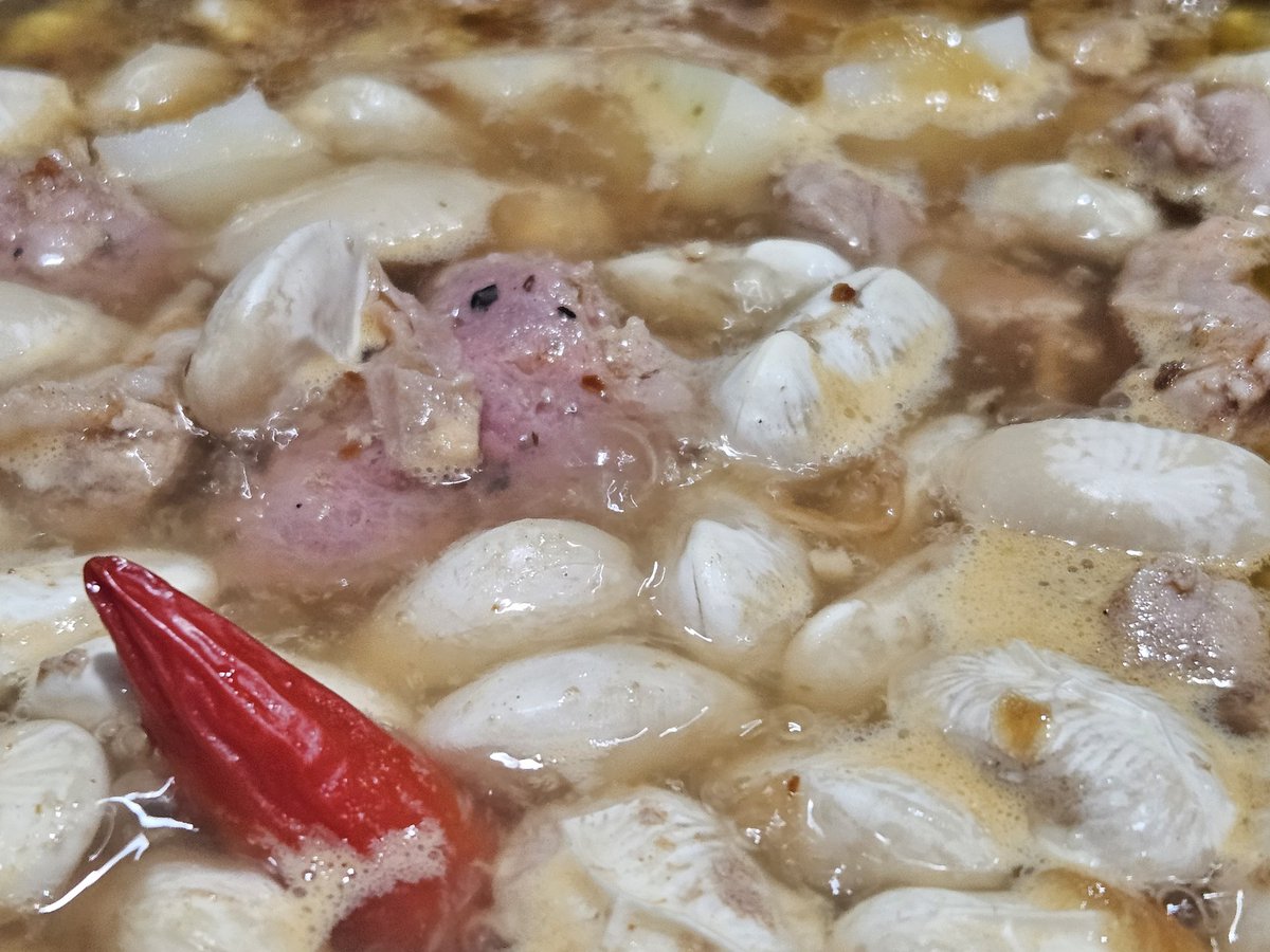 Estoy cocinando porotos y creo que les faltan 38 horas de cocción.  Son de amianto.