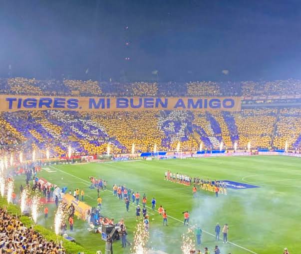 alber7__'s tweet photo. Soy de nuevo León, de la parte donde ya es costumbre ser campeón y soy parte de la hinchada más pasional de México, la de TIGRES.
 No de la otra, dónde en 74 años solo se es campeón 4 veces, dónde tienen un estadio nuevo y no lo llenan, dónde impera la violencia, de esa parte no. https://t.co/5JZU8PjVyp
