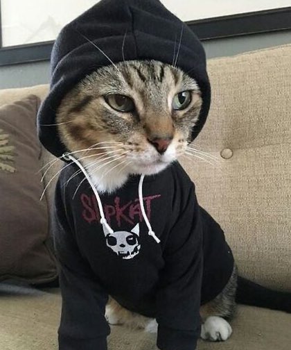 i_love_vodyara's tweet image. то самое прекрасное чувство, когда стоишь в своей толстовке и чувствуешь любимый запах подруги, потому что она в ней ходила несколько дней подряд: