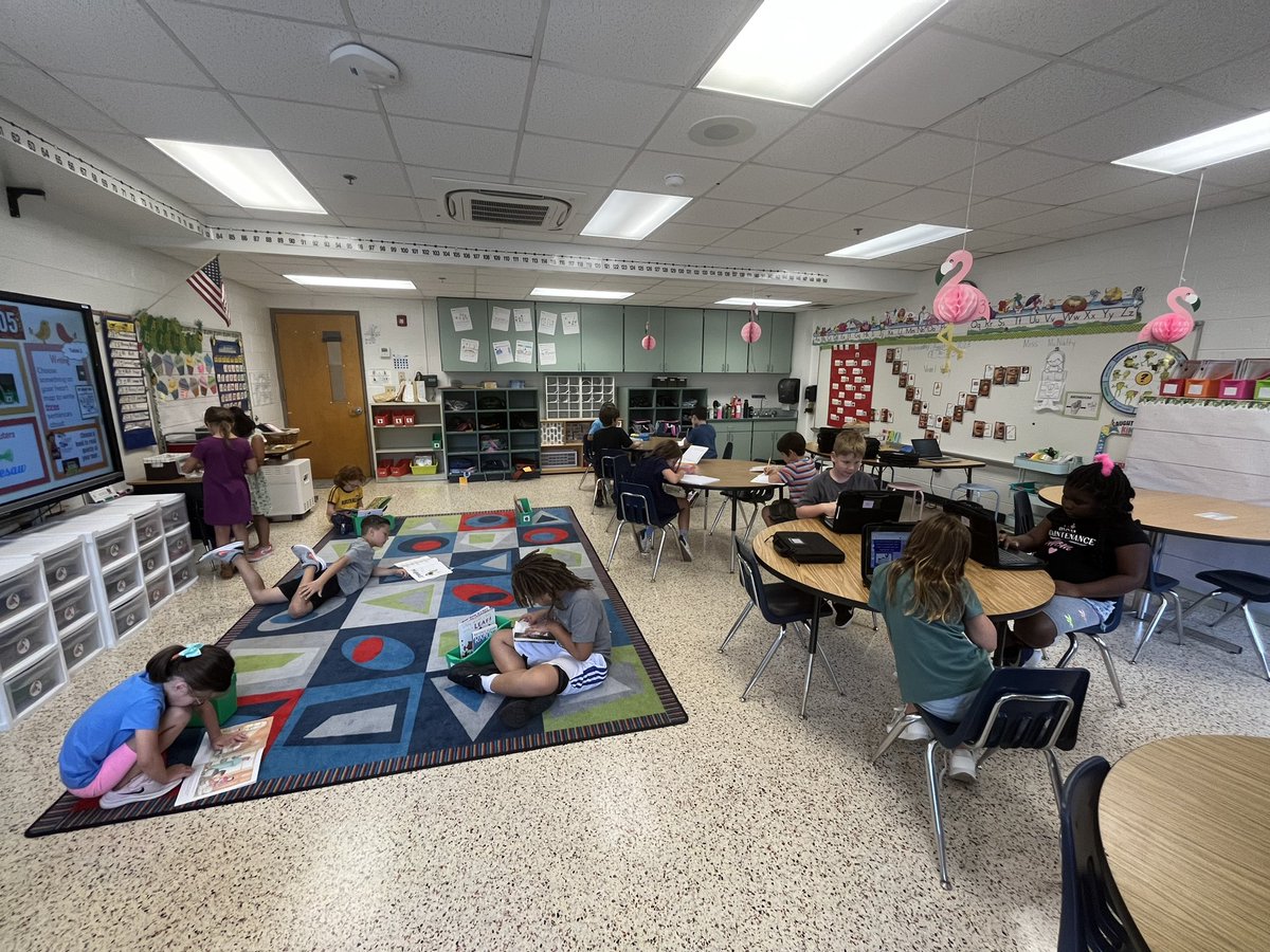 Caroline McNulty tweet media